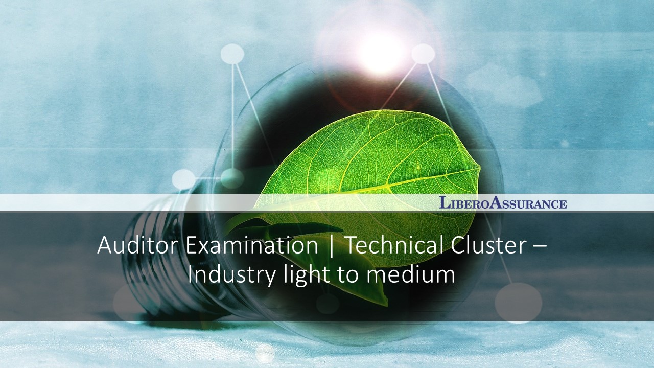 Auditor Examination | Technical Cluster - Industry light to medium