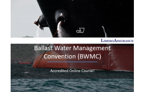 12__ballast_water_management_convention_analysis