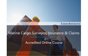 34__cargo_surveyor_insurance__claims_advanced