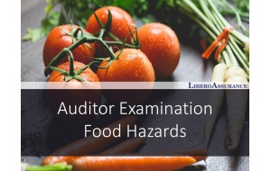 Auditor Examination | Food Hazards
