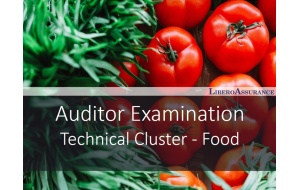 Auditor Examination |9001 Technical Cluster - Food