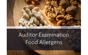 Auditor Examination | Food Allergens