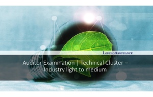 Auditor Examination | Technical Cluster - Industry light to medium