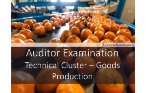 Auditor Examination |9001 Technical Cluster - Goods Production 