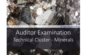 Auditor Examination |9001 Technical Cluster - Minerals